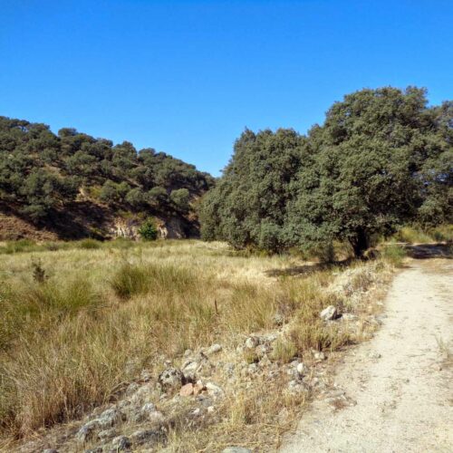 Ruta MTB por Aldea del Fresno y el Río Perales