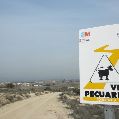 Ruta de la Cañada Real Segoviana