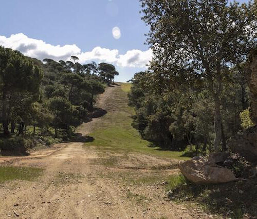 Ruta del Boquerón