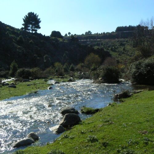 Ruta del río Cofio
