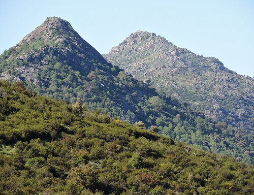 Camino de Monte Agudillo o Camino del Infante