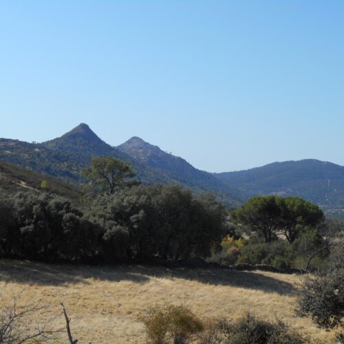 Camino de San Antonio