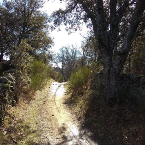 Camino de San Martín